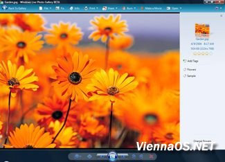 смотреть онлайн бесплатно в хорошем качестве Windows Live Photo Gallery 2008 RU 12.0.1299.1010 beta